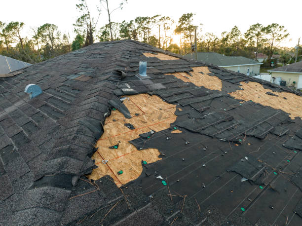 Best Roof Leak Repair  in , CO