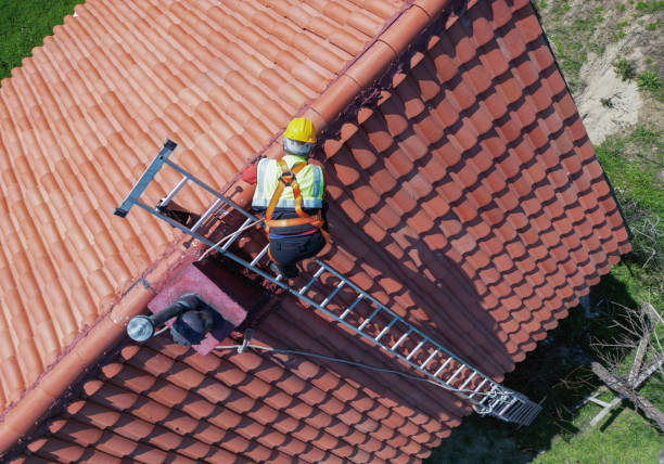 Best Gutter Installation and Repair  in , CO